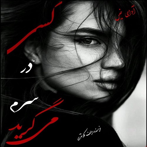 دانلود کتاب کسی در سرم می گرید  از الف_کلانتری