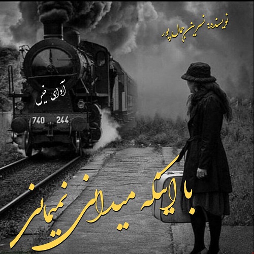 دانلود کتاب با اینکه میدانی نمیمانی  از نسرین جمال پور
