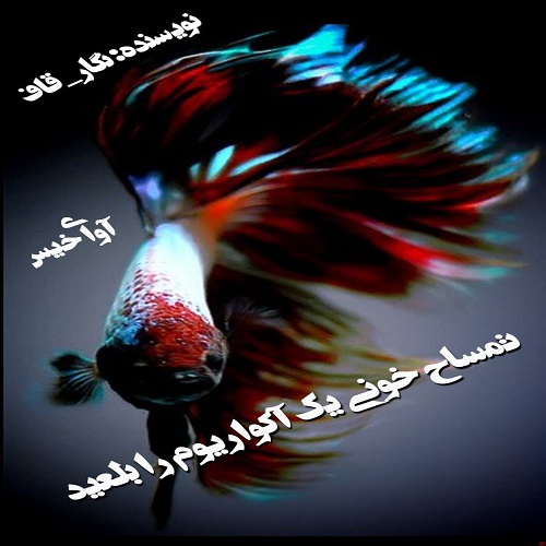 دانلود کتاب تمساح خونی یک آکواریوم را بلعید  از نگار_قاف