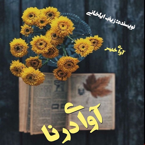 دانلود کتاب آوای درنا  از زینب ایلخانی