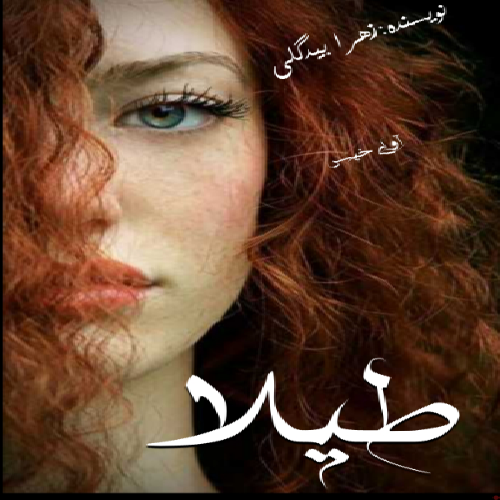 دانلود کتاب طیلا  از زهرا بیگدلی