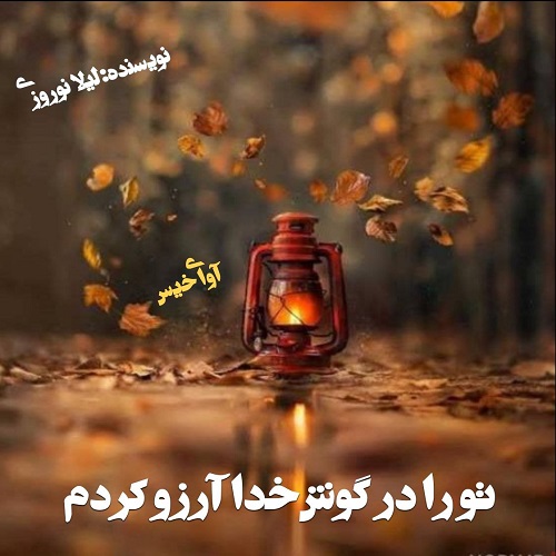 دانلود کتاب تو را در گوش خدا آرزو کردم  از لیلا نوروزی