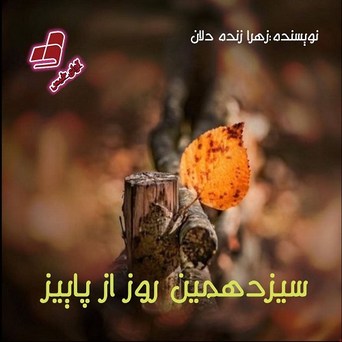 دانلود کتاب سیزدهمین روز از پاییز  از زهرا زنده دلان
