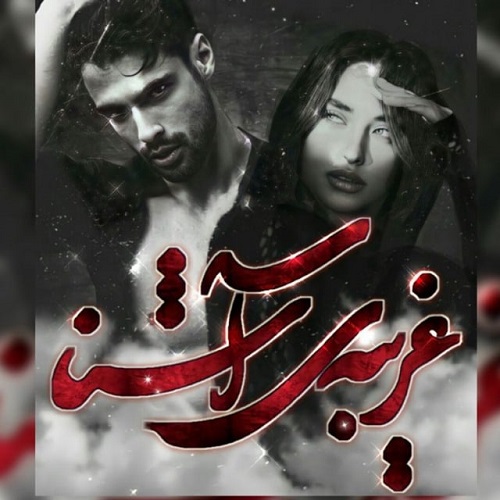 کتاب غریبه ی آشنا