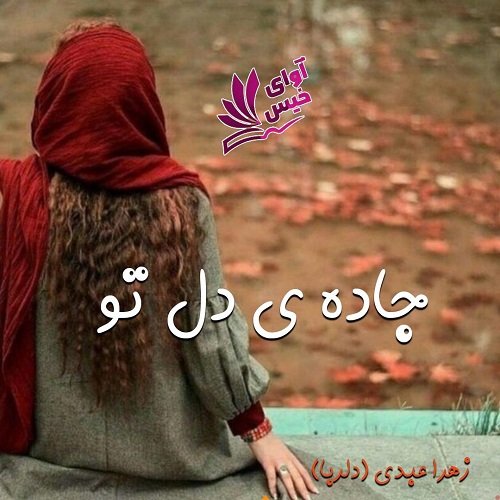 دانلود کتاب جاده ی دل تو  از زهرا عبدی (دلربا)
