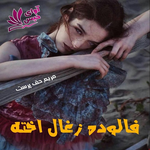 دانلود کتاب فالوده زغال اخته  از مریم حق پرست