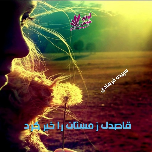 کتاب قاصدک زمستان را خبر کرد