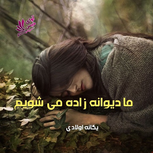 کتاب ما دیوانه زاده می شویم