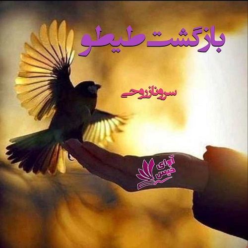 دانلود کتاب برگشت تیتو  از سرو ناز روحی