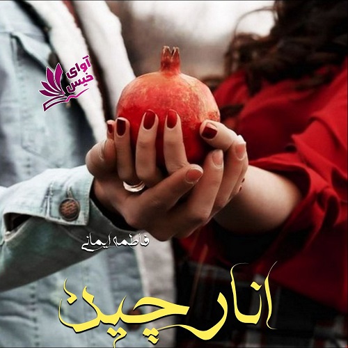 کتاب انارچین
