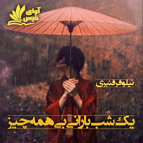 دانلود کتاب یک شب بارانی بی همه چیز  از نیلوفر قنبری