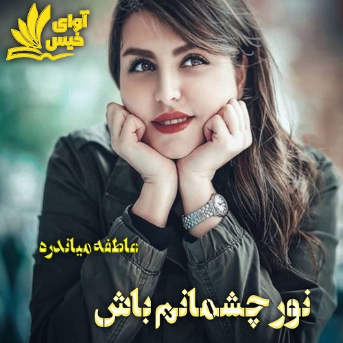 دانلود کتاب نور چشمانم باش  از عاطفه میاندره
