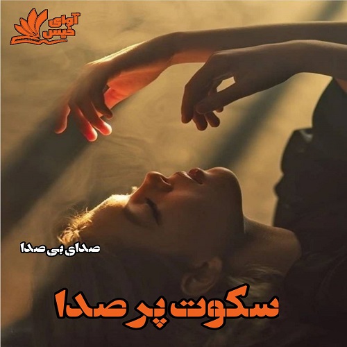دانلود کتاب سکوت پر صدا  از صدای بی صدا
