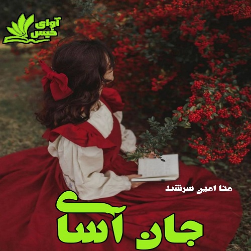 دانلود کتاب جان آسای  از منا امین سرشت