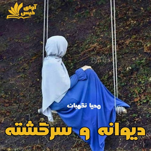 کتاب دیوانه و سرگشته