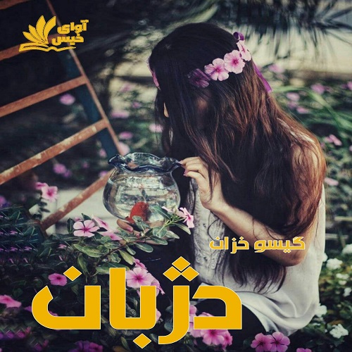 کتاب دژبان