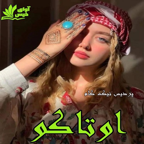 دانلود کتاب اوتاکو از پردیس نیک کام فایل