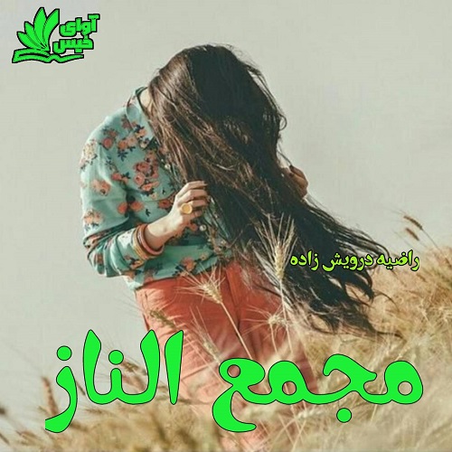 کتاب مجمع الناز