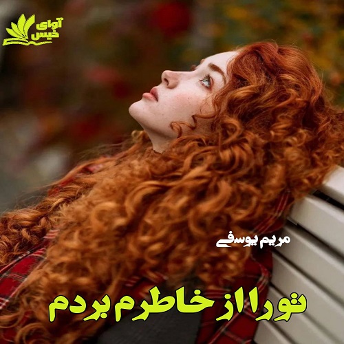 کتاب تو را از خاطرم بردم