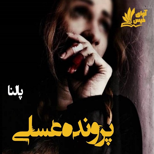 کتاب پرونده عسلی