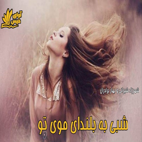 کتاب شبی به بلندای موی تو