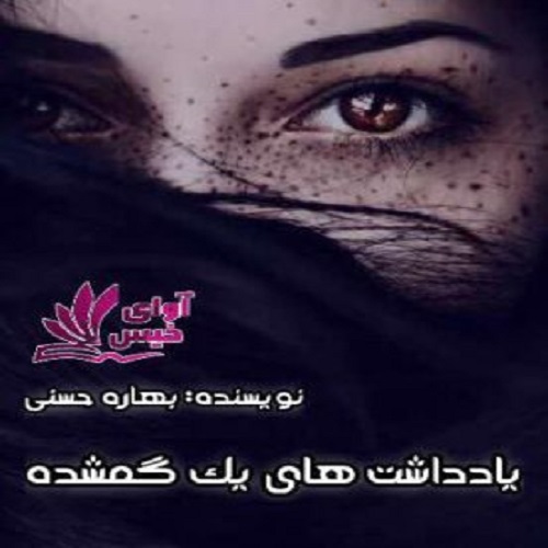 کتاب یاد داشت های یک گمشده