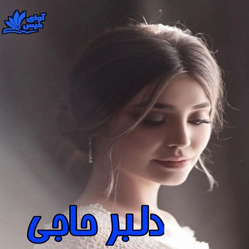 دانلود کتاب دلبر حاجی  با 
