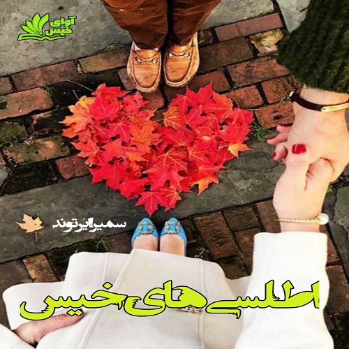 کتاب اطلسی های خیس