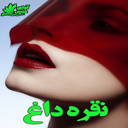 دانلود کتاب نقره داغ  