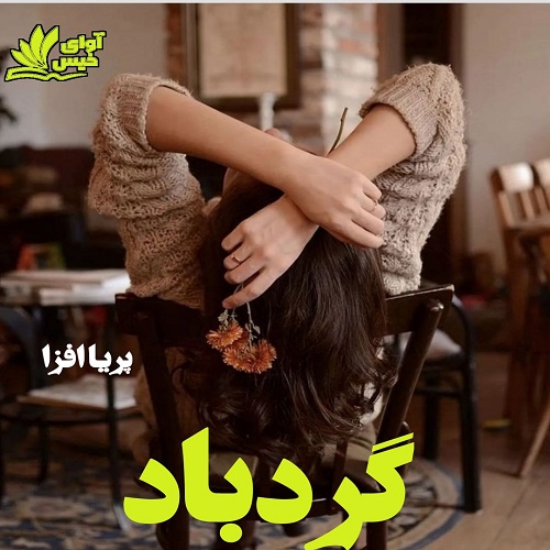 دانلود کتاب گردباد  از پریا افزا