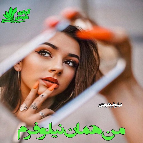 دانلود کتاب من همان نیلوفرم  از نیلوفر فنودی