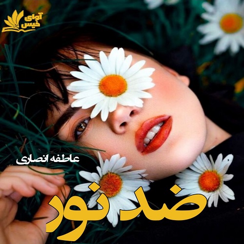 دانلود کتاب ضد نور  از عاطفه انصاری