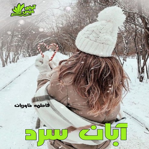 دانلود کتاب آبان سرد  از فاطمه خاوریان