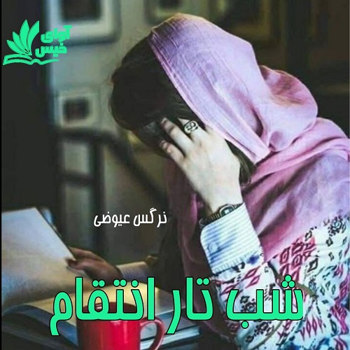 دانلود کتاب شب تار انتقام  از نرگس عیوضی
