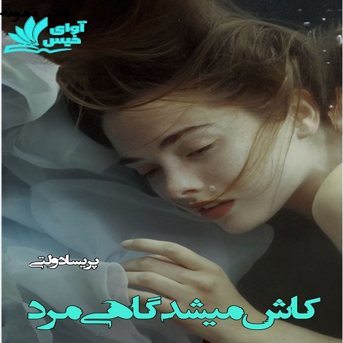 دانلود کتاب کاش میشد گاهی مرد  از پریسا دولتی