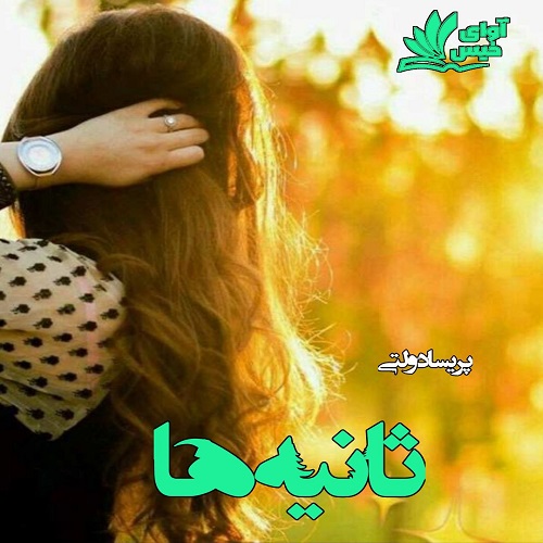 دانلود کتاب ثانیه ها  از پریسا دولتی