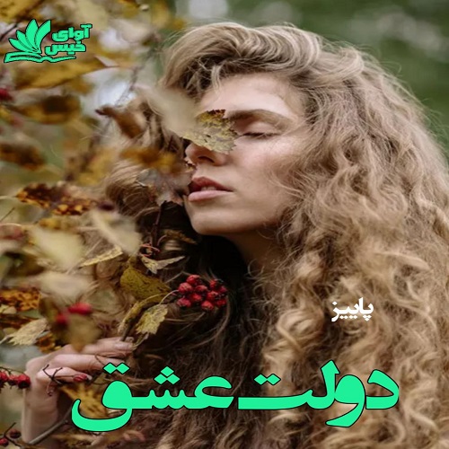 دانلود کتاب دولت عشق  از پاییز