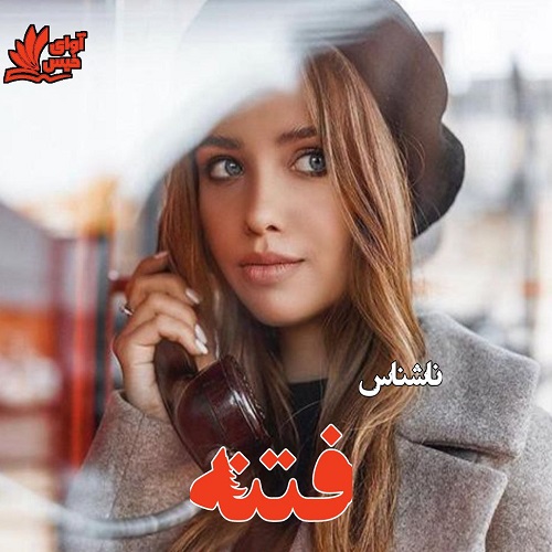 دانلود کتاب فتنه  از ناشناس