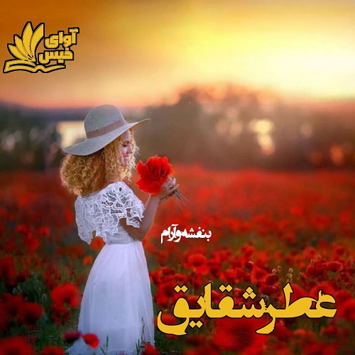 دانلود کتاب عطر شقایق  از بنفشه و آرام