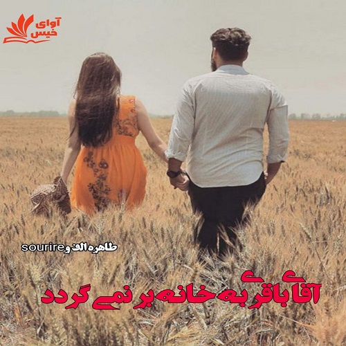 کتاب آقای باقری به حانه بر نمی گردد