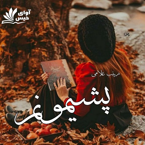 دانلود کتاب پشیمونم  از زینب غلامی