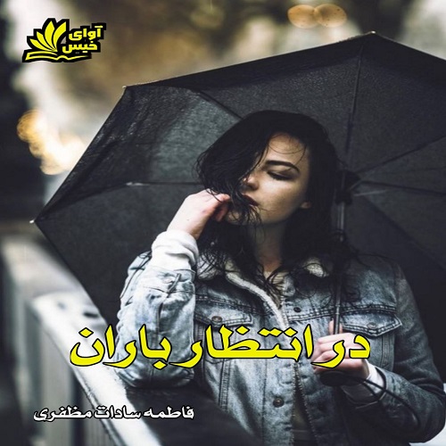 دانلود کتاب در انتظار باران  از فاطمه سادات مظفری