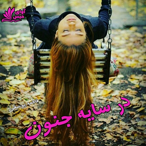 دانلود کتاب در سایه جنون  از فاطمه یوسفی