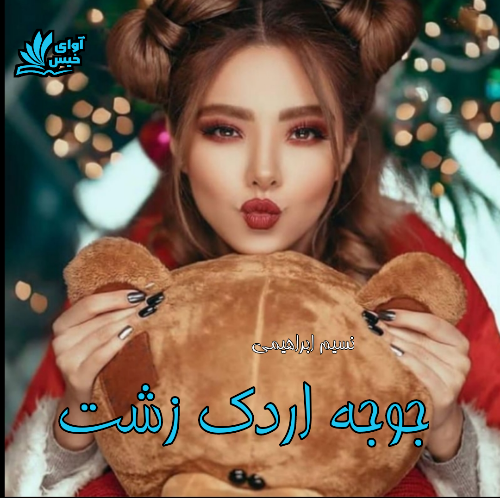 دانلود کتاب جوجه اردک زشت  از نسیم ابراهیمی