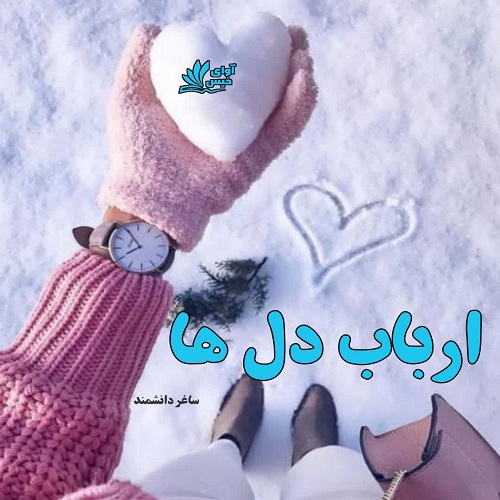 کتاب ارباب دل ها