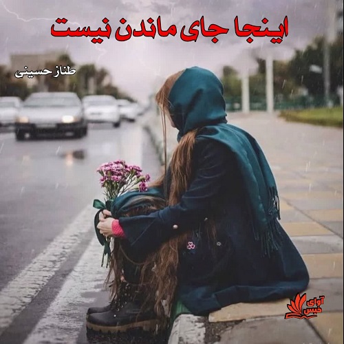 دانلود کتاب اینجا جای ماندن نیست  از طناز حسینی 