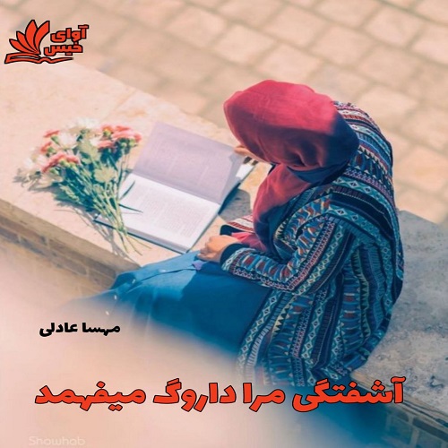 دانلود کتاب آشفتگی مرا داروگ میفهمد  از مهسا عادلی