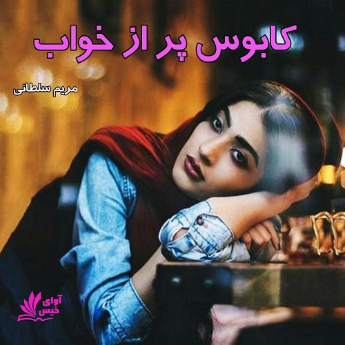 دانلود کتاب کابوس پر از خواب  از مریم سلطانی