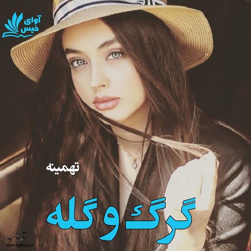دانلود کتاب گرگ و گله  از تهمینه