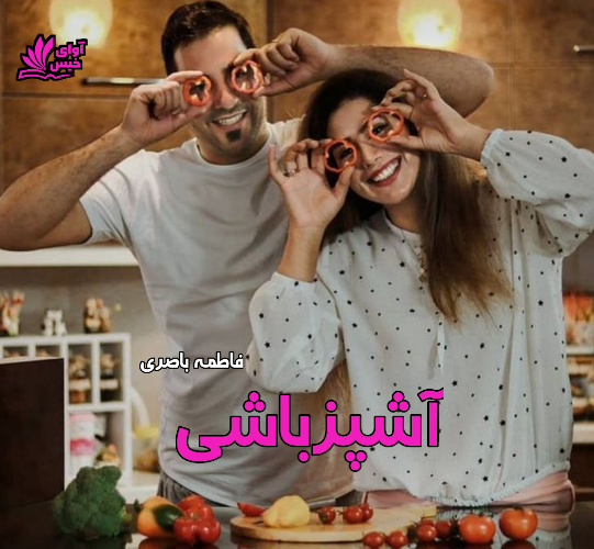 دانلود کتاب آشپزباشی  از فاطمه باصری
